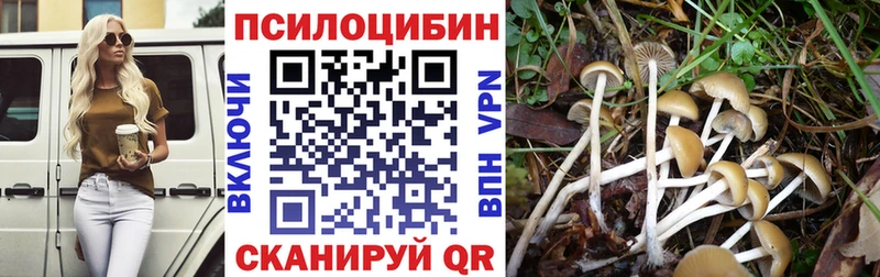 Галлюциногенные грибы Psilocybe  Купить закладки  Петровск-Забайкальский 